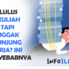 Lulus kuliah tapi nggak kunjung kerja
